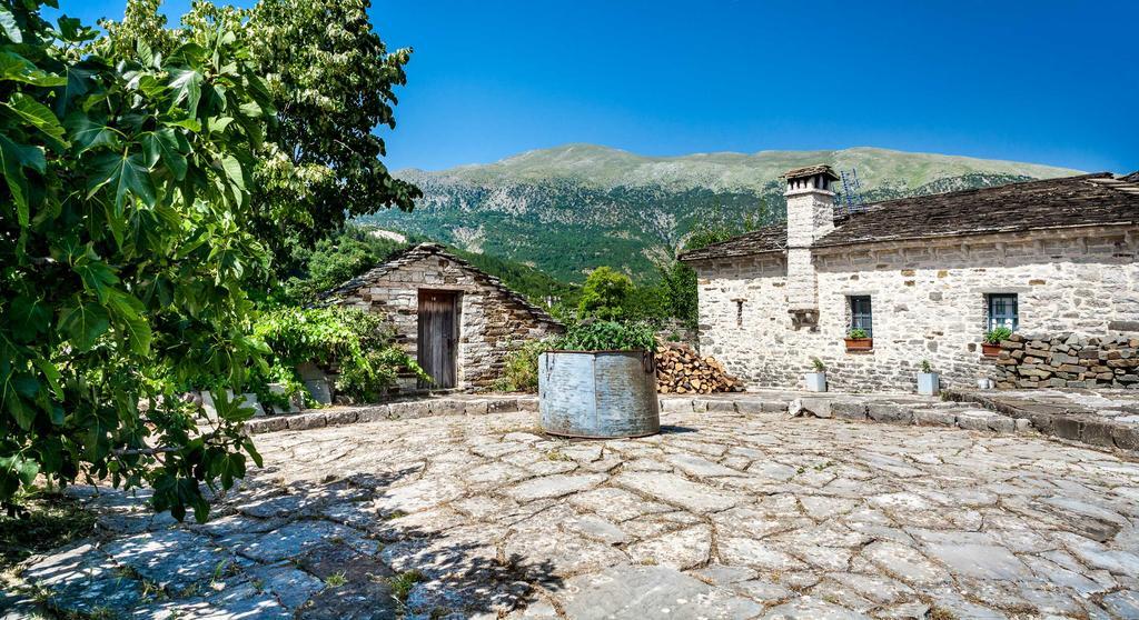 Guesthouse Ioannidis Papingo Extérieur photo