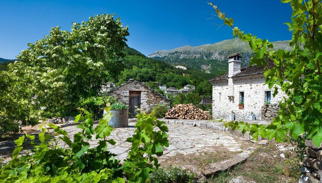 Guesthouse Ioannidis Papingo Extérieur photo